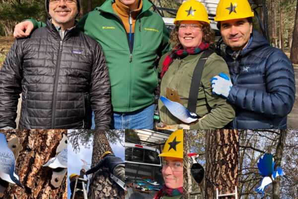 cheryl garcia and installation team